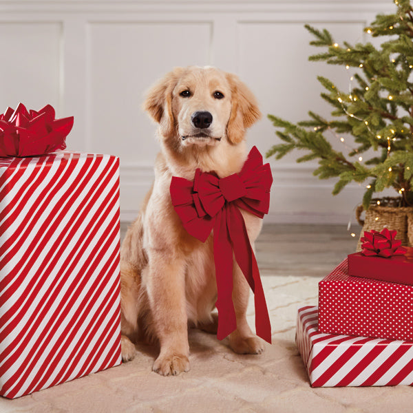 Gift Wrapping Ideas Presents For My Dog Christmas Wrapping Paper