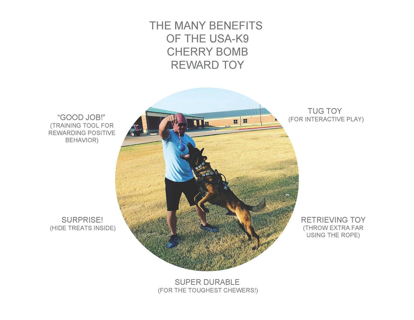 SodaPup USA-K9 Cherry Bomb Chew Toy - Blue / Large