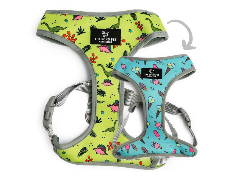 Dinosaur dog harness best sale