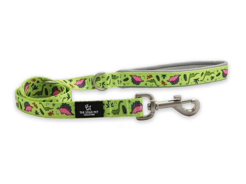 Ancol Soho Nylon Lead 100cm x 19mm - Dino