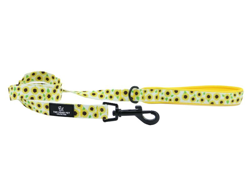 Ancol Soho Nylon Lead 100cm x 19mm - Sunflowers