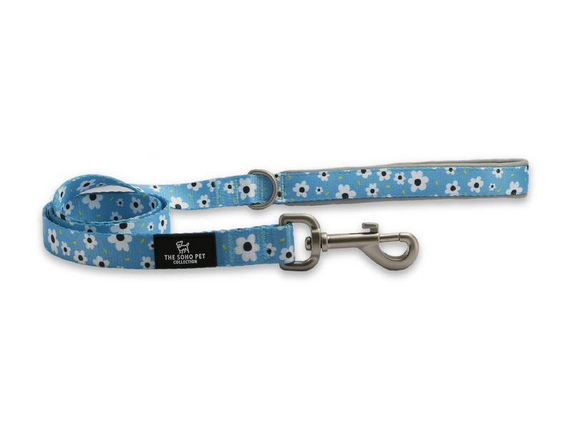Ancol Soho Nylon Lead 100cm x 19mm - Daisy