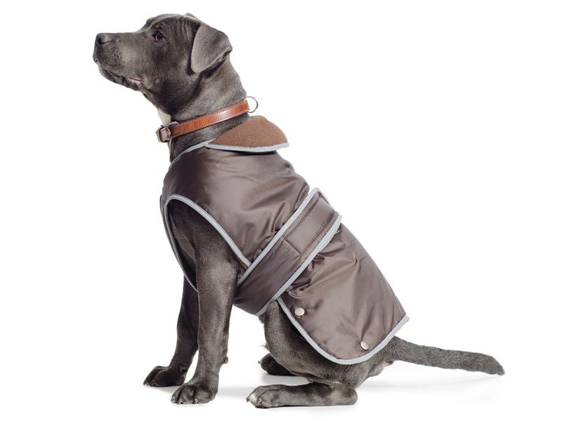 Ancol Stormguard Dog Coat