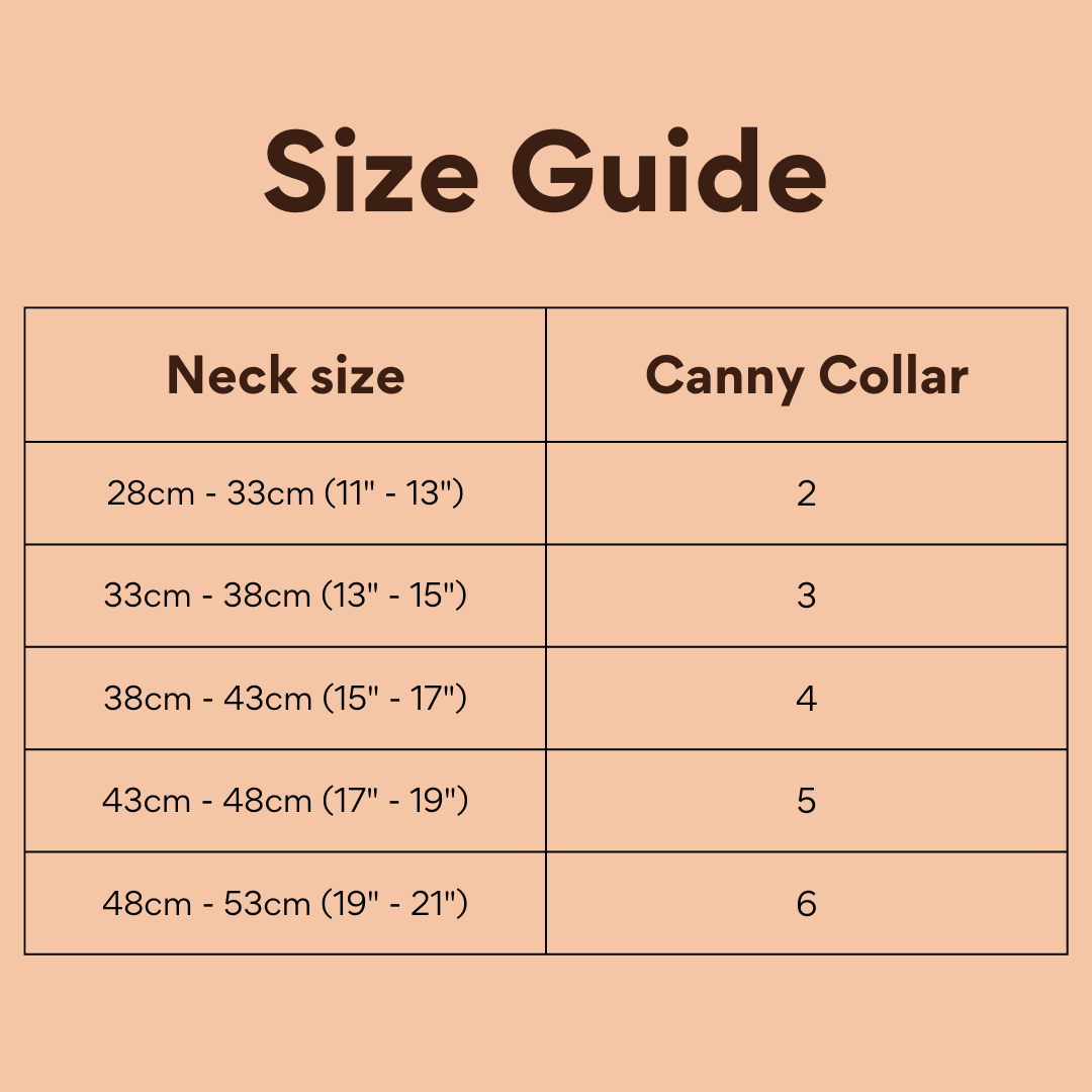Canny No-Pull Dog Collar Black