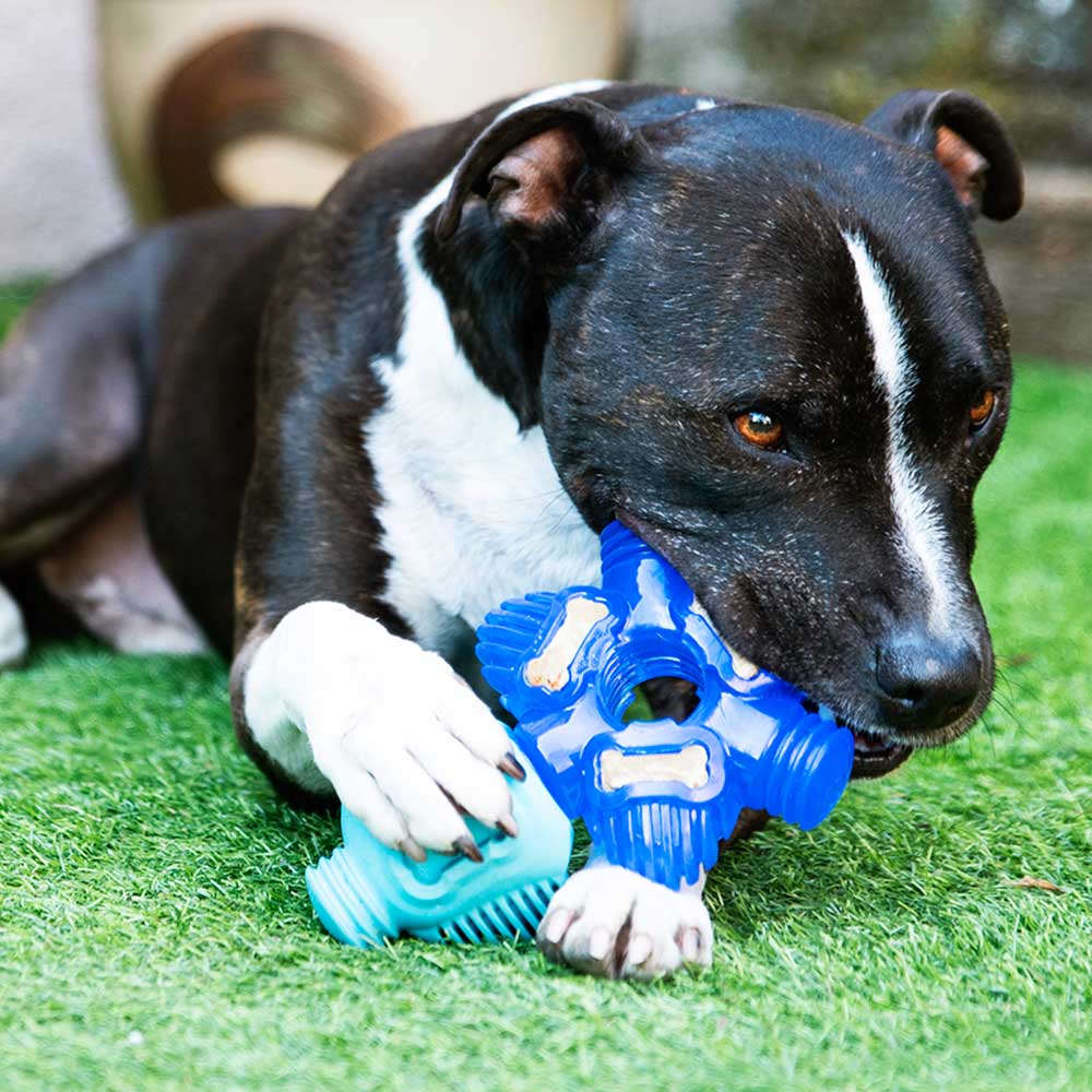 K9 Connectables Brain Teaser - Pro Dog Toys