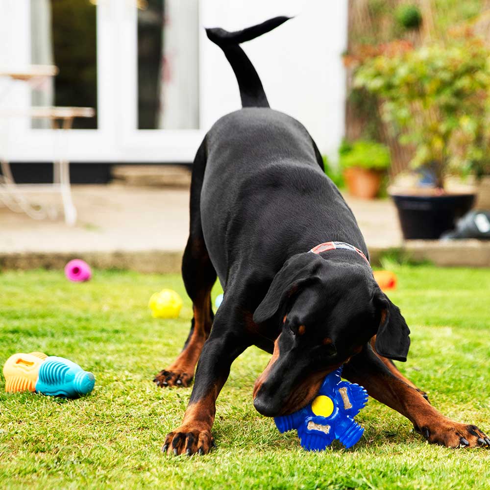 K9 Connectables Brain Teaser - Pro Dog Toys