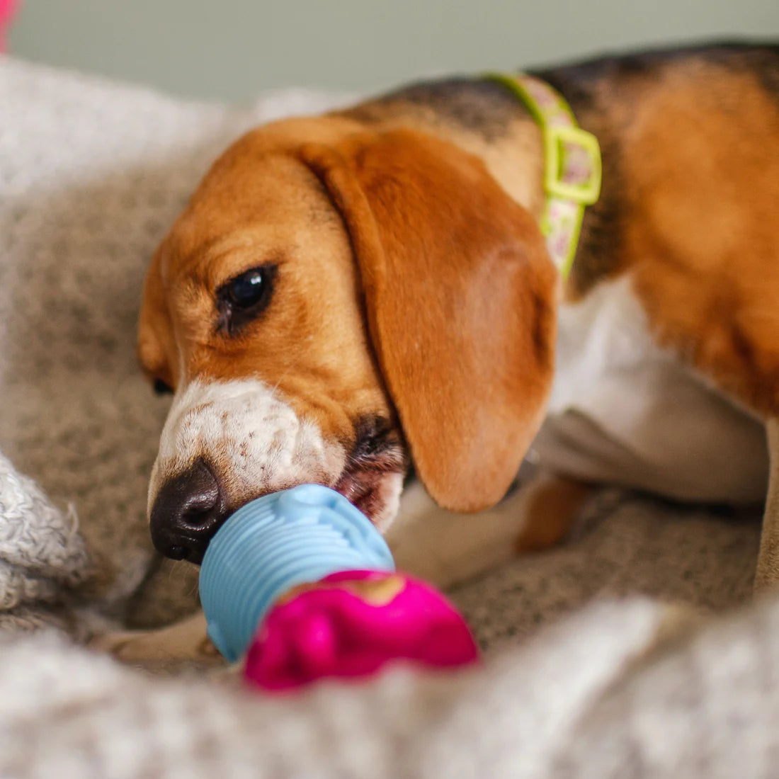 K9 Connectables The Dentist - Gentle Dog Toys