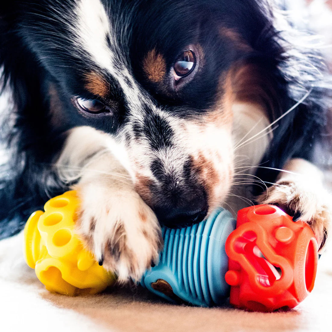 K9 Connectables The Dentist - Gentle Dog Toys