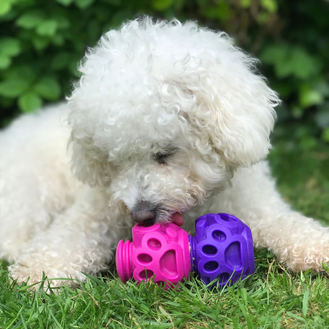 K9 Connectables The Original - Gentle Dog Toys