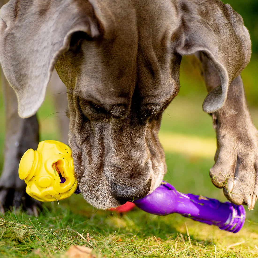 K9 Connectables Tech Bone - Gentle Dog Toys