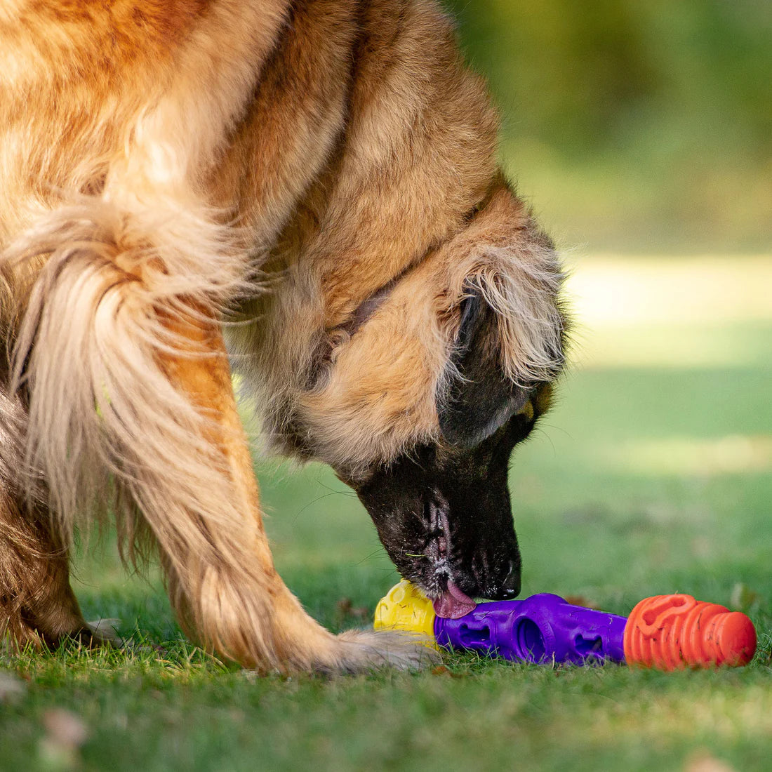 K9 Connectables Tech Bone - Gentle Dog Toys