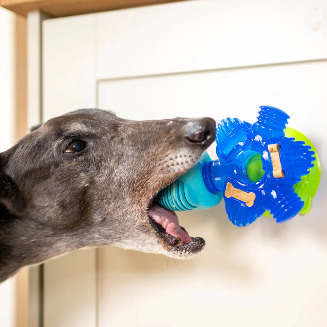 K9 Connectables Brain Teaser - Pro Dog Toys