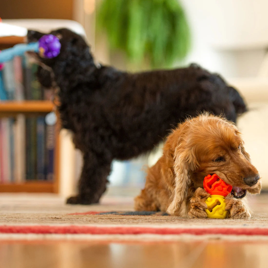 K9 Connectables The Original - Gentle Dog Toys