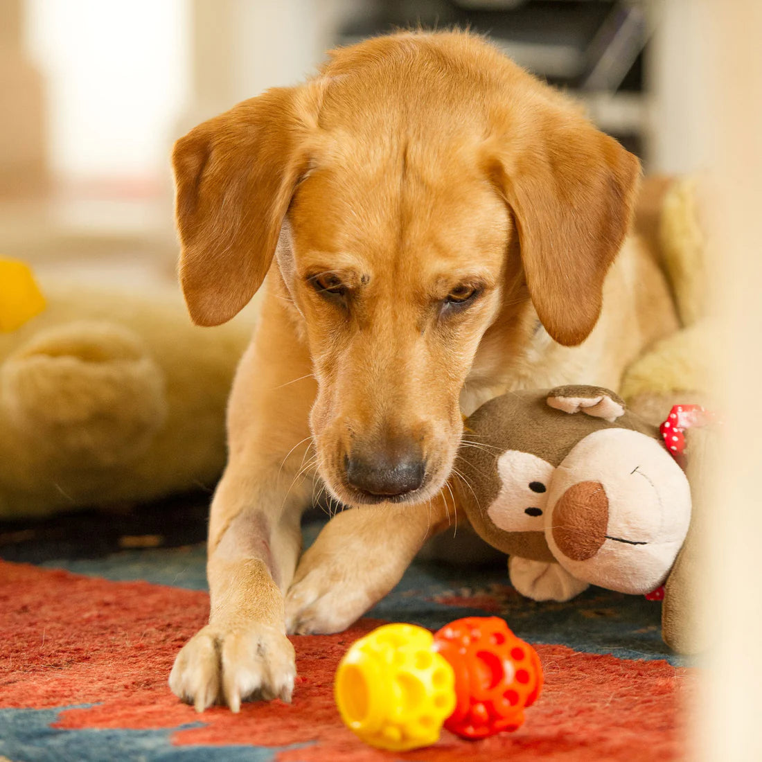 K9 Connectables The Original - Gentle Dog Toys