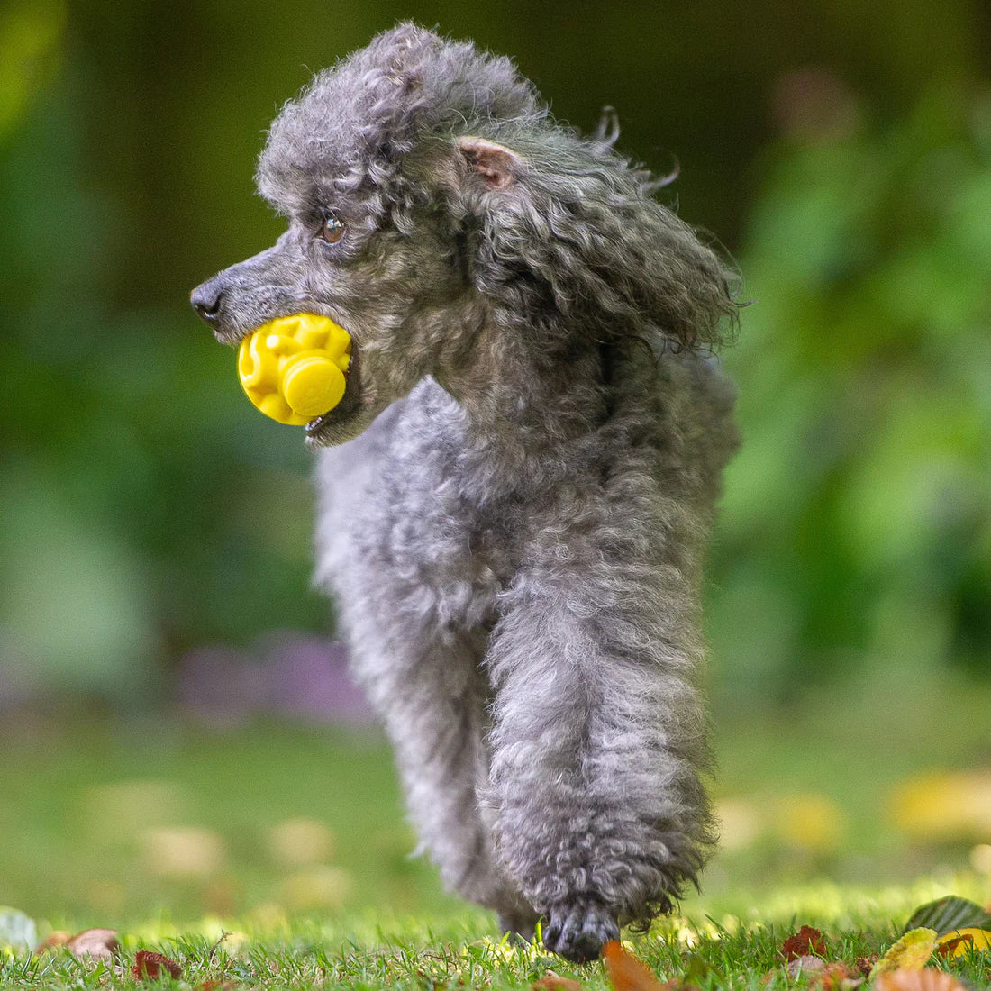 K9 Connectables The Original - Gentle Dog Toys