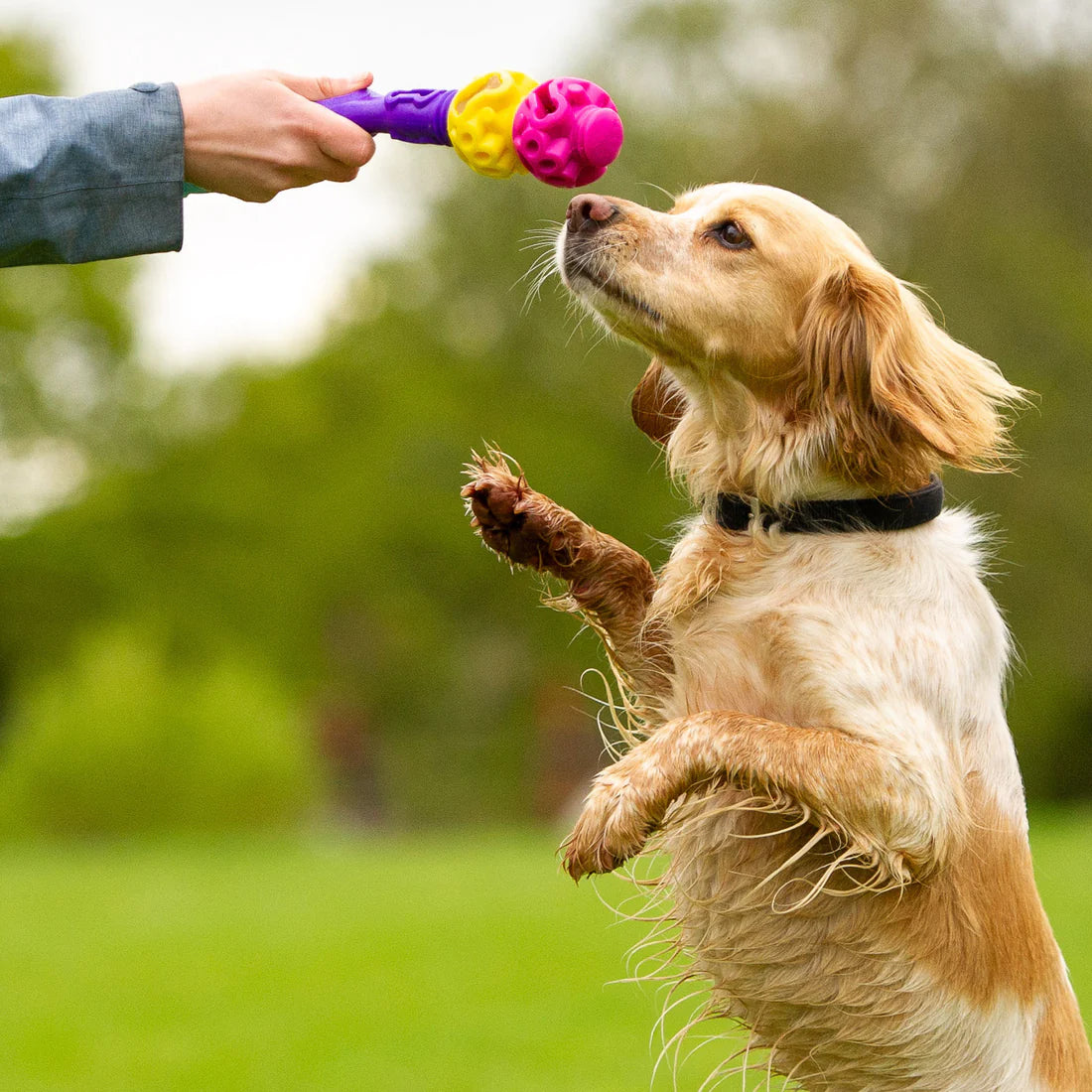 K9 Connectables The Original - Gentle Dog Toys