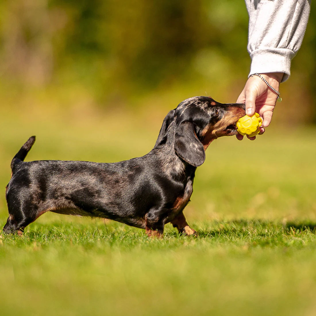K9 Connectables The Original - Gentle Dog Toys