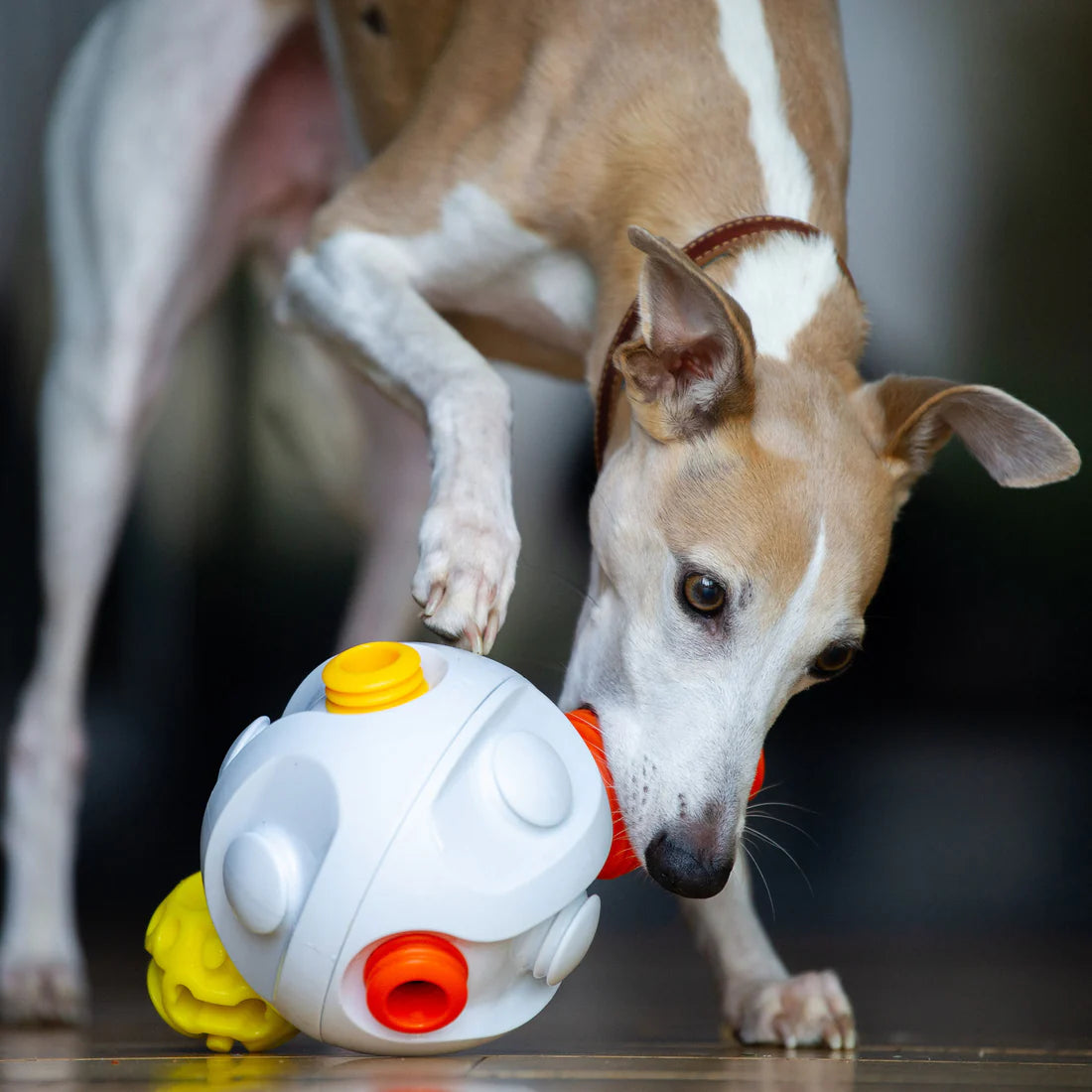 K9 Connectables Treat Dispensing Kibble Connector