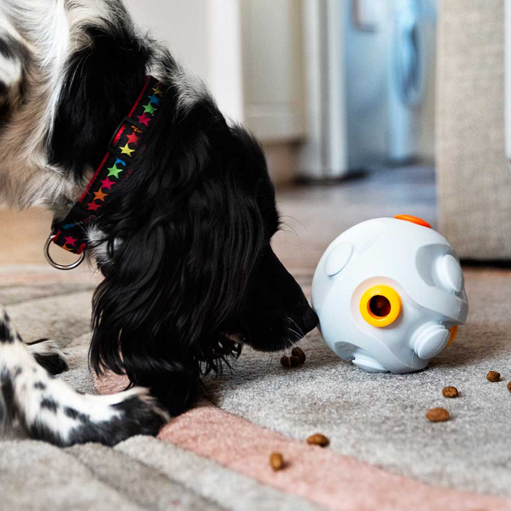K9 Connectables Treat Dispensing Kibble Connector