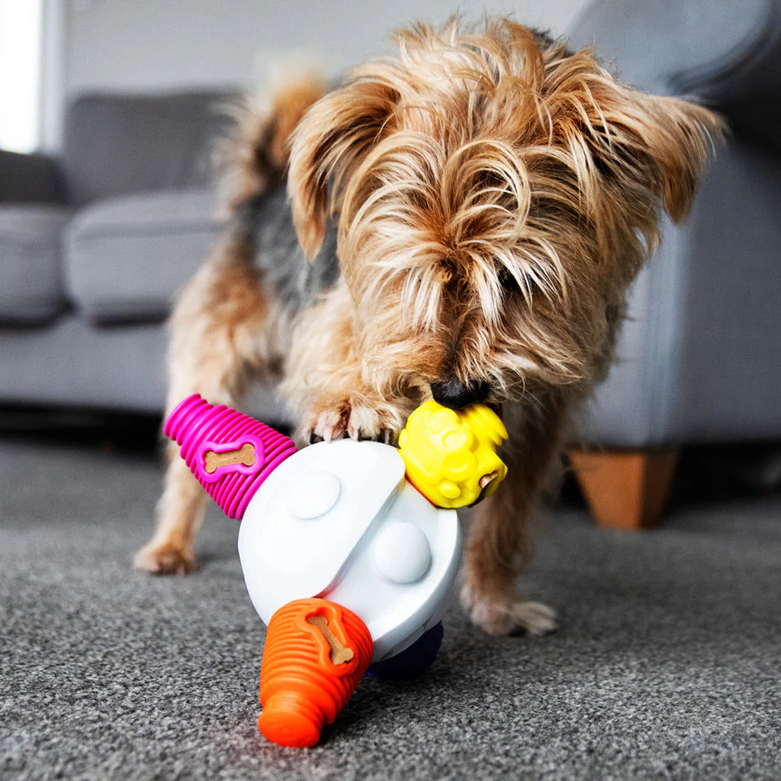 K9 Connectables Treat Dispensing Kibble Connector