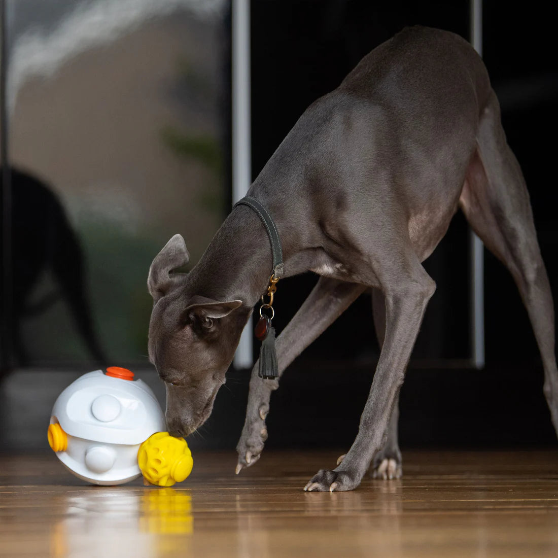 K9 Connectables Treat Dispensing Kibble Connector