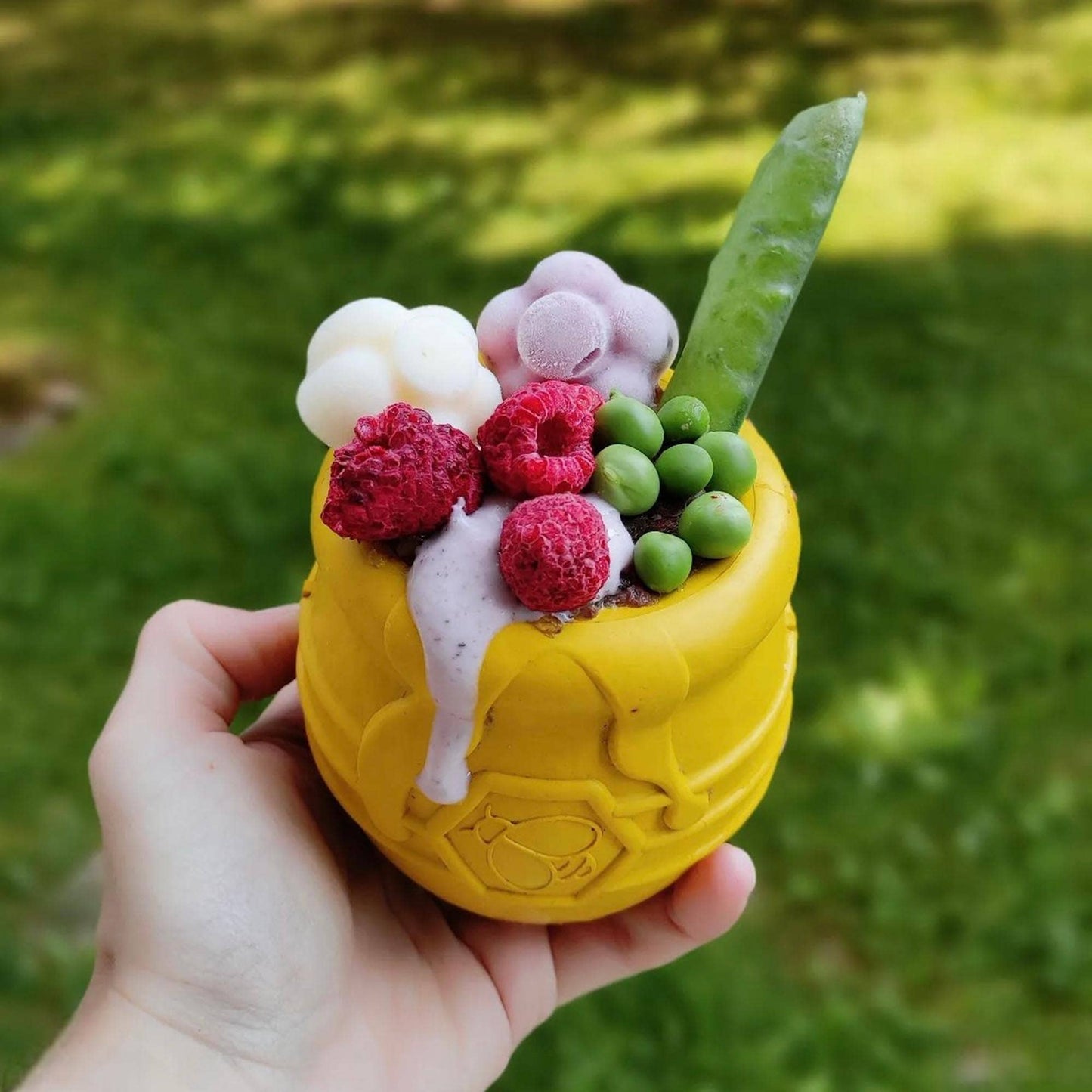 SodaPup Large PUP-X Honey Pot 2.0 Treat Dispenser