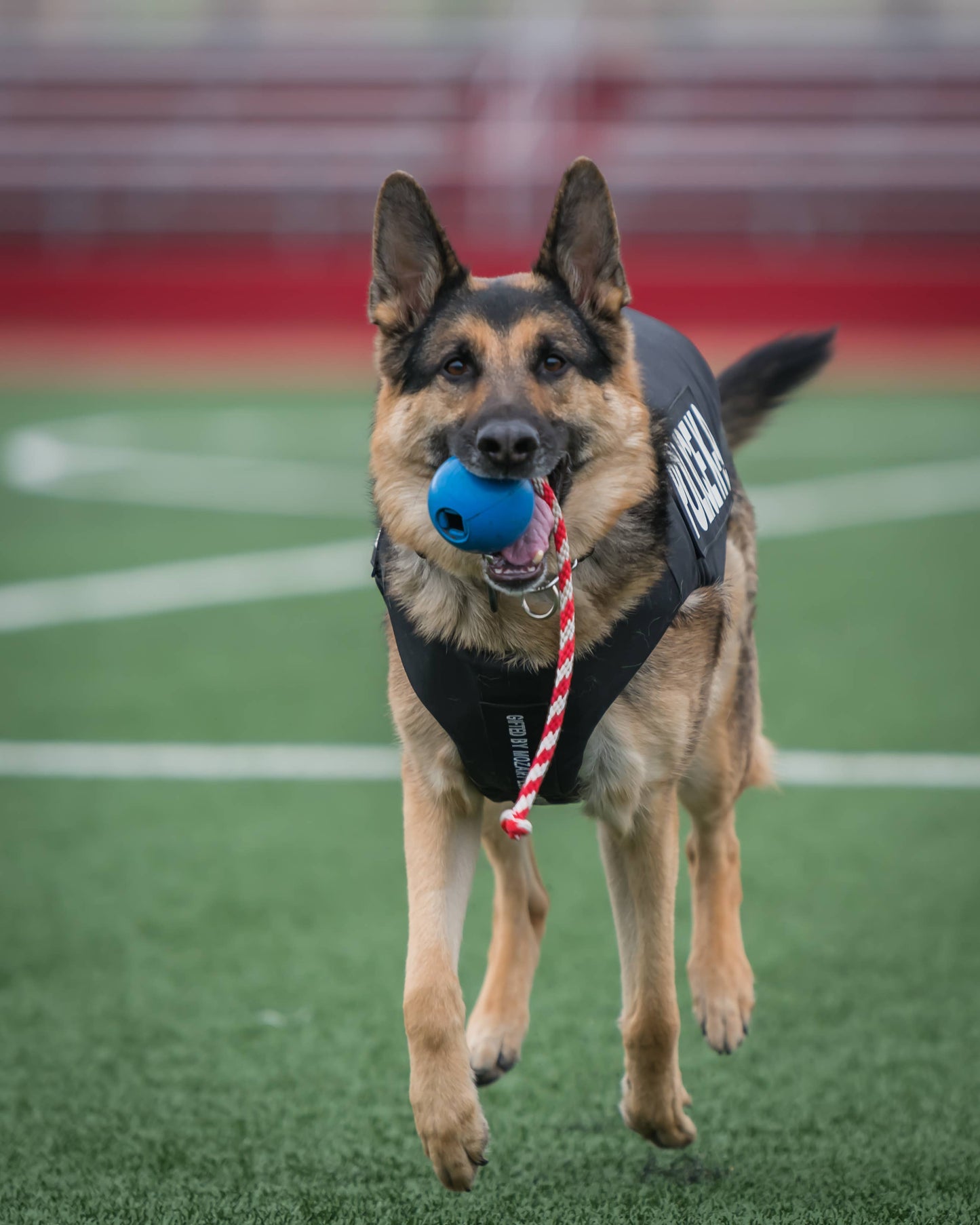 SodaPup USA-K9 Cherry Bomb Chew Toy - Blue / Large