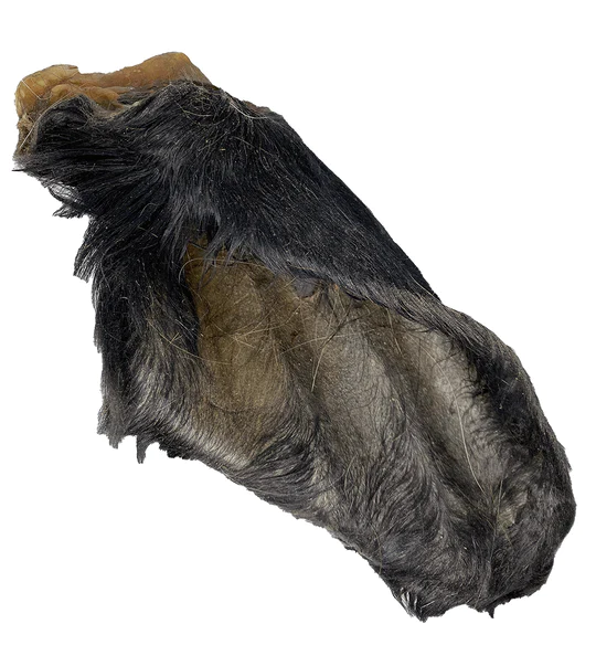 JR Pet Products Cow Ears with Hair
