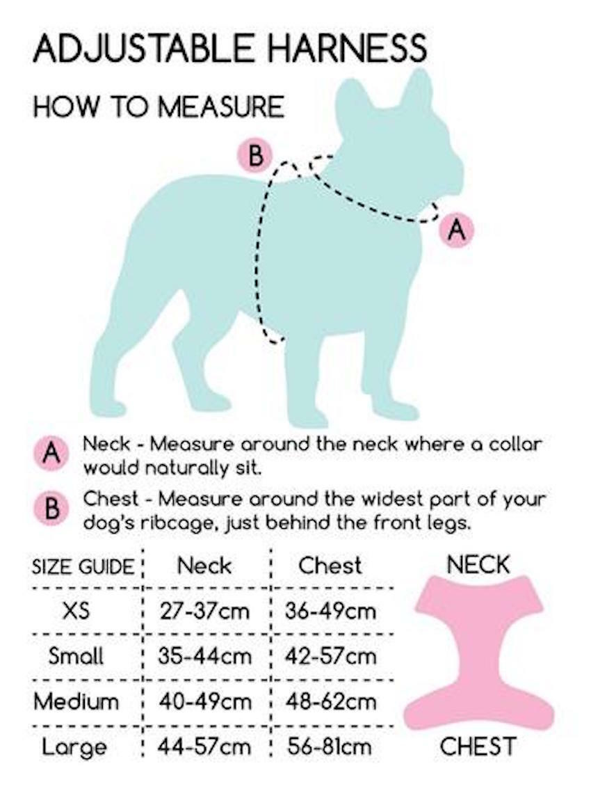 Pawsome Paws - D-Ring Adjustable Dog Harness – Reuben's Roadtrip