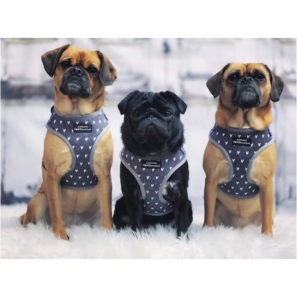 Pawsome Paws Boutique Black Jack Adjustable Harness-Harness-Oh Doggy