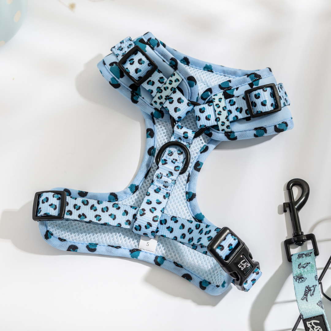 Barnaby & Jones Trendsetter Cool Leopard Dog Harness