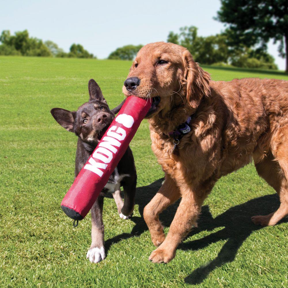 KONG Signature Stick-Oh Doggy