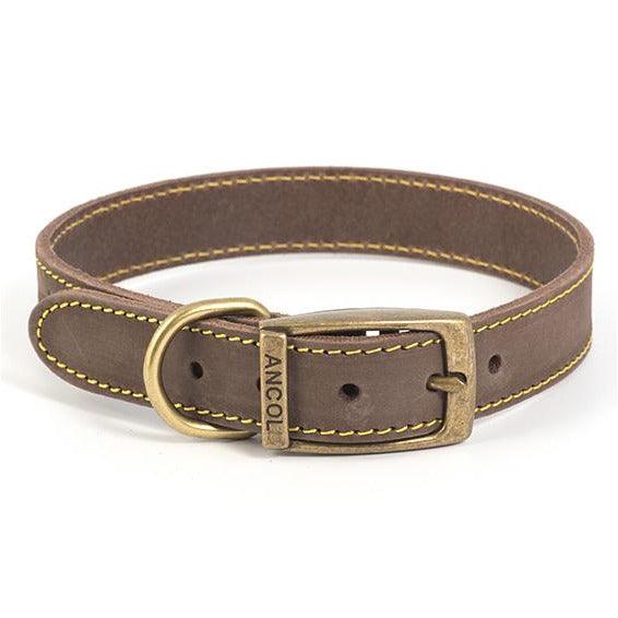 Ancol Timberwolf Leather Dog Collars-Oh Doggy