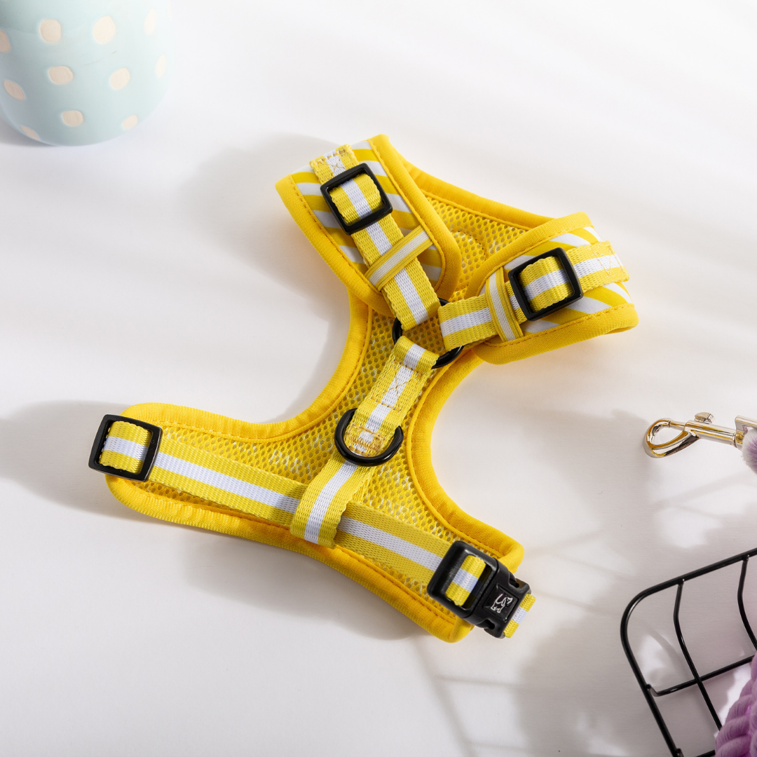 Barnaby & Jones The Colour Edit Yellow Striped Dog Harness