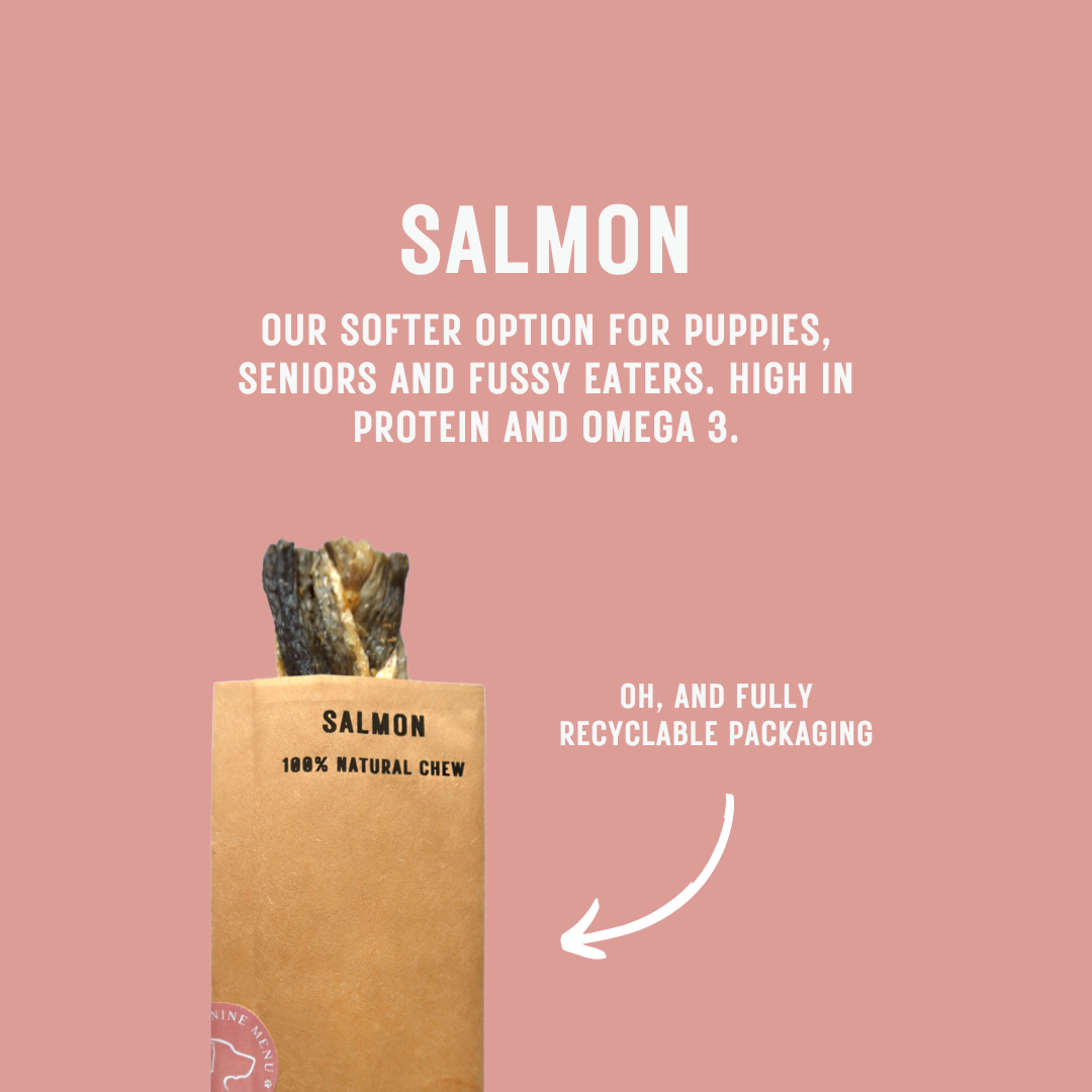 The Canine Menu - Salmon Dog Chew Treat