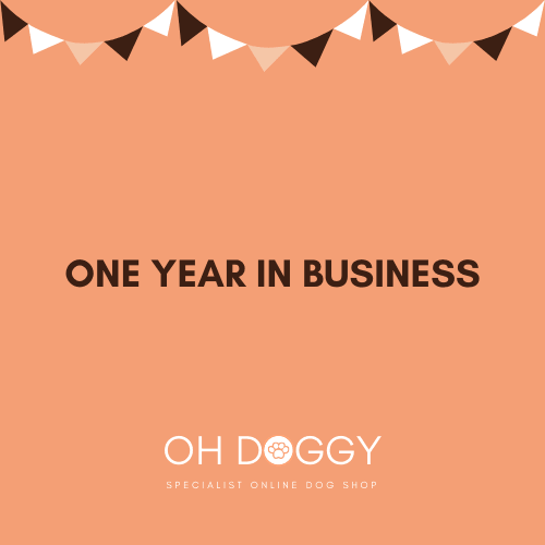 ONE YEAR IN BUSINESS - Oh Doggy