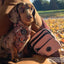 Pawsome Paws Boutique Tough Trails™ Extra Small Harness Coffee Beans + Little Weens