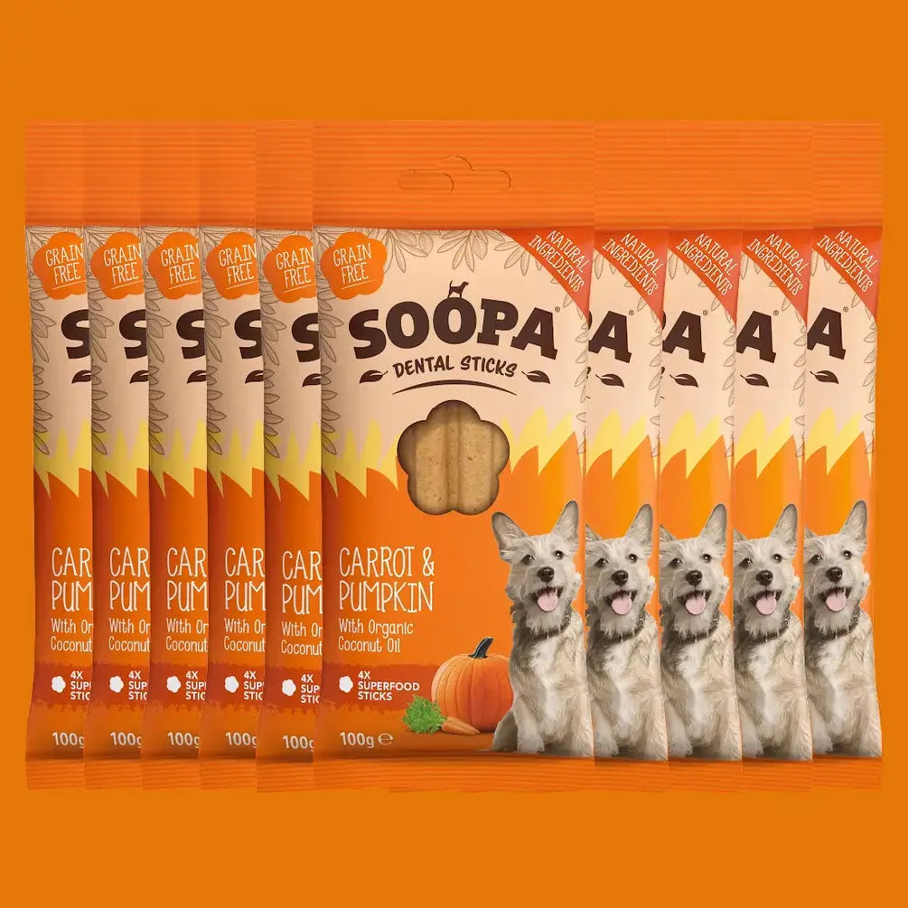 Soopa Carrot & Pumpkin Dog Dental Sticks