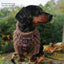Pawsome Paws Boutique Tough Trails™ Extra Small Harness Coffee Beans + Little Weens