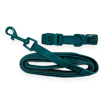 Pawsome Paws - Pawsome Pup Collar and Lead Set - Emerald