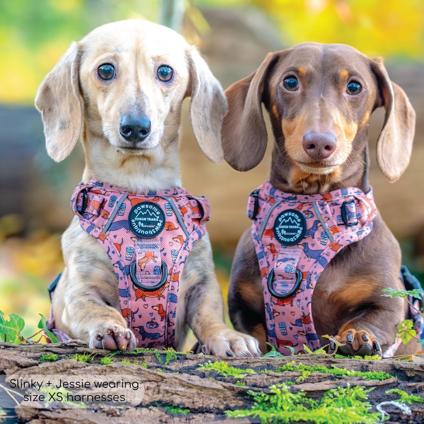 Pawsome Paws Boutique Tough Trails™ Extra Small Harness Coffee Beans + Little Weens