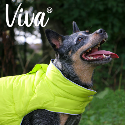 Ancol Viva Reversible Dog Coat Black/Hi-Vis