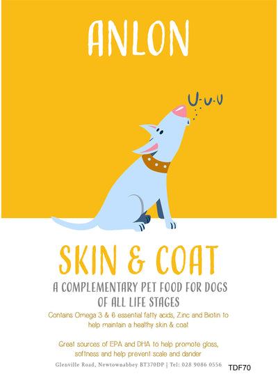 Anlon Skin & Coat Grain Free Treats 70g