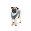 Chill Out Dog Cooling Vest
