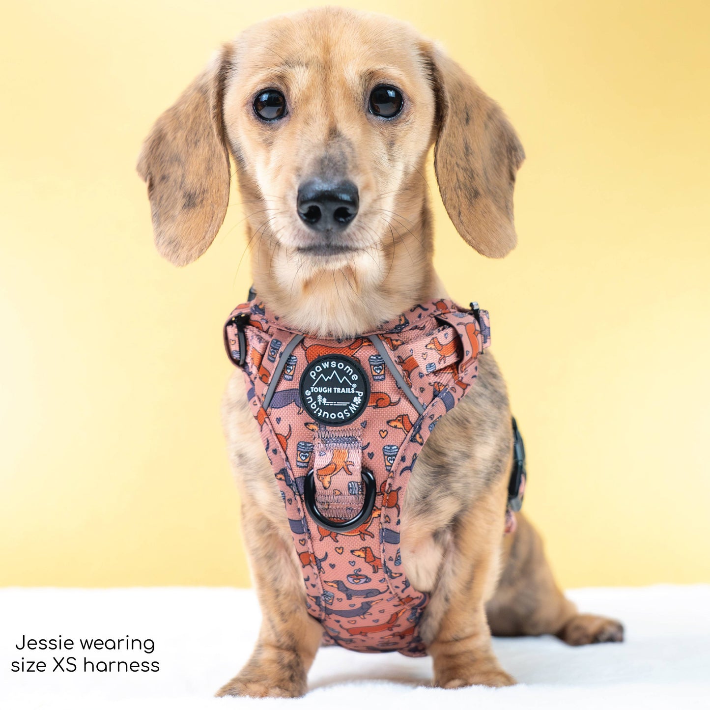 Pawsome Paws Boutique Tough Trails™ Extra Small Harness Coffee Beans + Little Weens