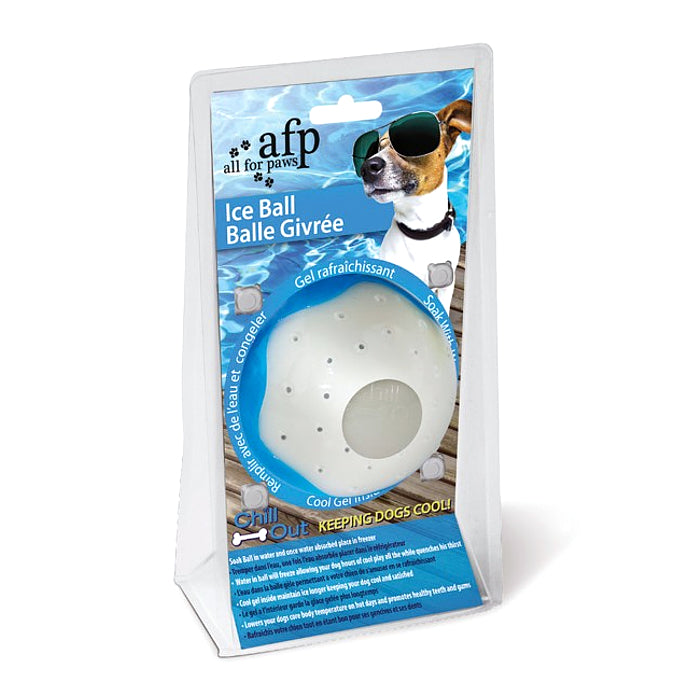 ALL FOR PAWS Chill Out Ice Ball Dog Chew Toy