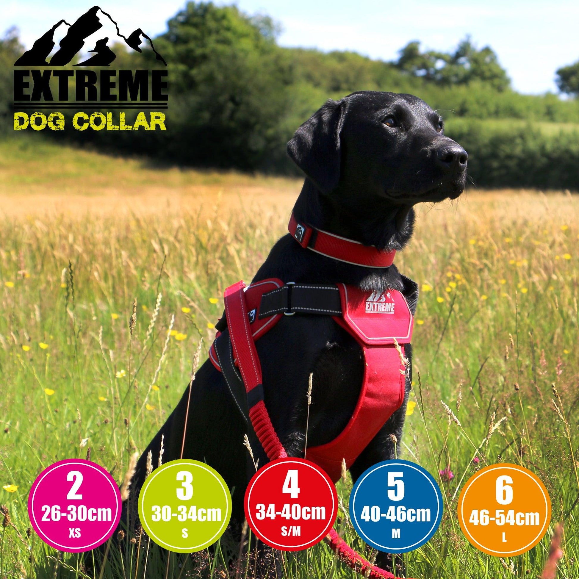 Ancol Extreme Collar-Oh Doggy