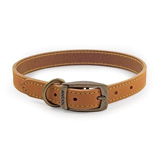 Ancol Timberwolf Leather Dog Collars-Oh Doggy