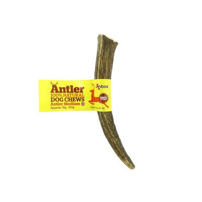 Antos Antler-variable-Oh Doggy