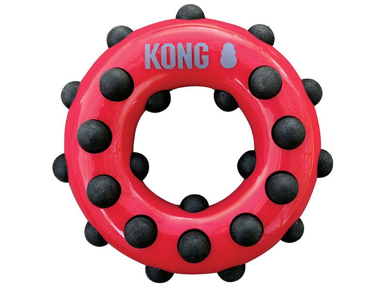KONG Circle Dotz Dog Toy